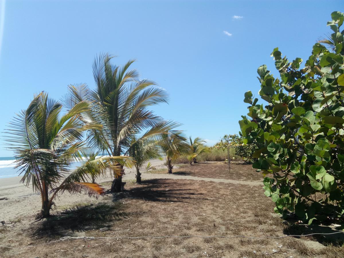 B&B Le Villette Las Lajas エクステリア 写真